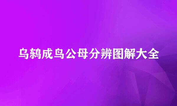 乌鸫成鸟公母分辨图解大全