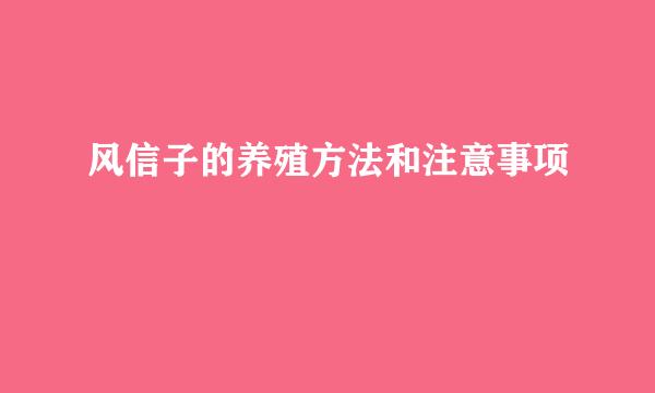 风信子的养殖方法和注意事项