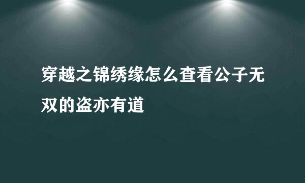 穿越之锦绣缘怎么查看公子无双的盗亦有道