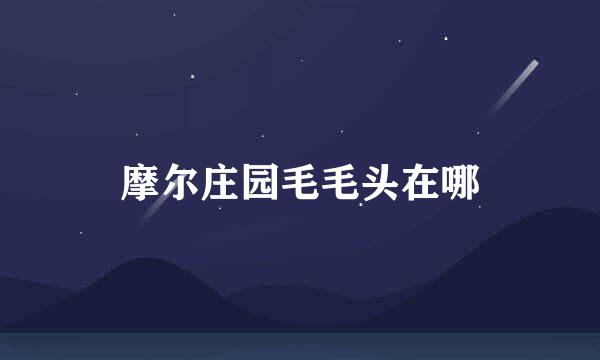摩尔庄园毛毛头在哪
