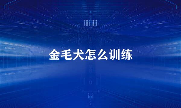 金毛犬怎么训练