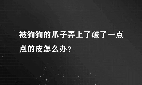 被狗狗的爪子弄上了破了一点点的皮怎么办?