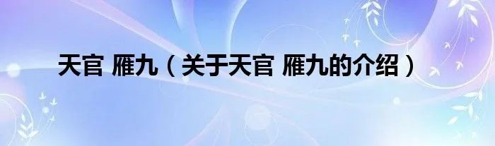 天官 雁九（关于天官 雁九的介绍）