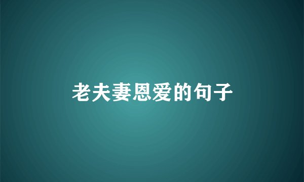 老夫妻恩爱的句子