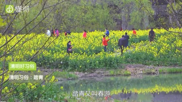 清明节的习俗是什么