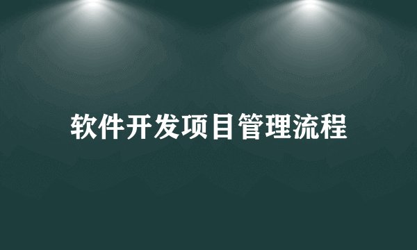 软件开发项目管理流程