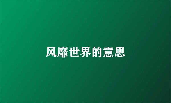 风靡世界的意思