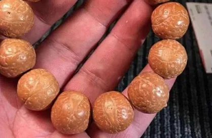 菩提子有哪些种类?菩提子种类大全图片介绍!