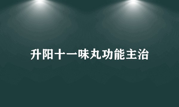 升阳十一味丸功能主治