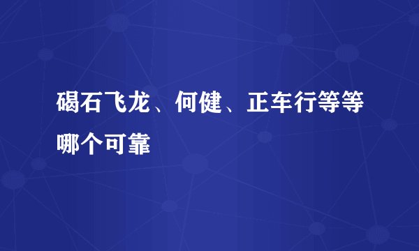 碣石飞龙、何健、正车行等等哪个可靠
