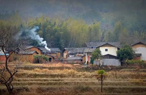 暑去秋来凉风至，稻黄果香丰收时；下句怎么接？