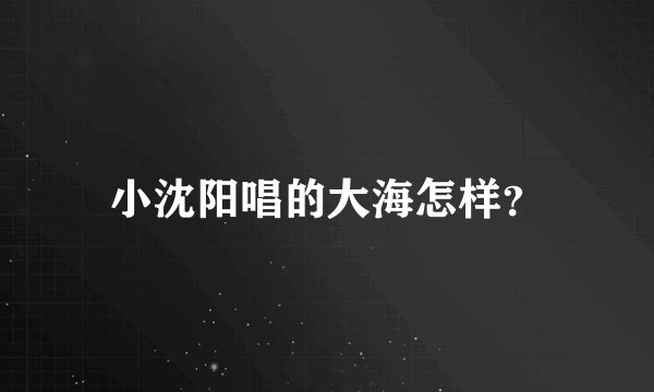 小沈阳唱的大海怎样？