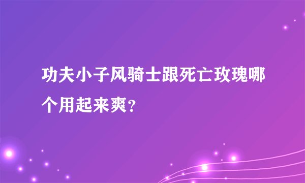 功夫小子风骑士跟死亡玫瑰哪个用起来爽？
