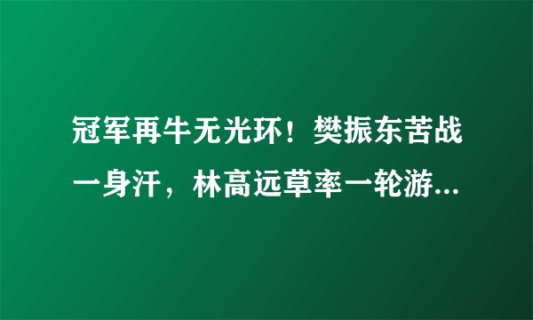 冠军再牛无光环!樊振东苦战一身汗,林高远草率一轮游!-国球汇