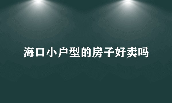 海口小户型的房子好卖吗