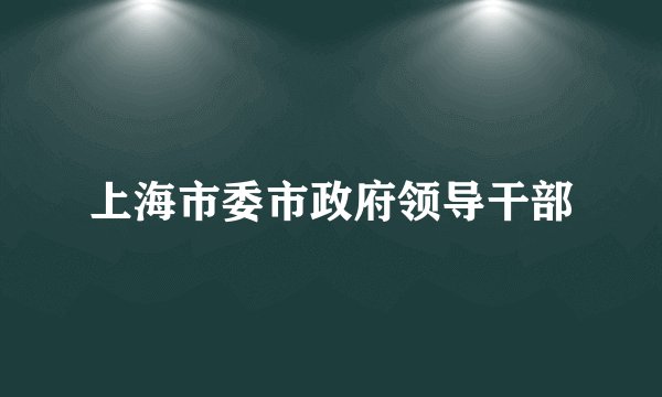 上海市委市政府领导干部