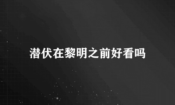 潜伏在黎明之前好看吗
