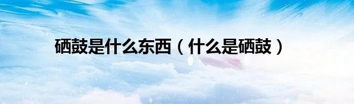 硒鼓是什么东西（什么是硒鼓）