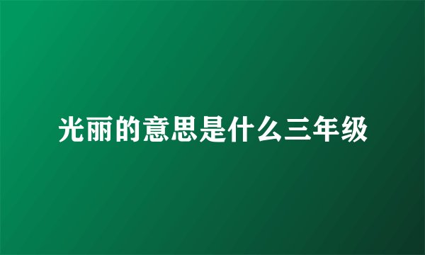 光丽的意思是什么三年级