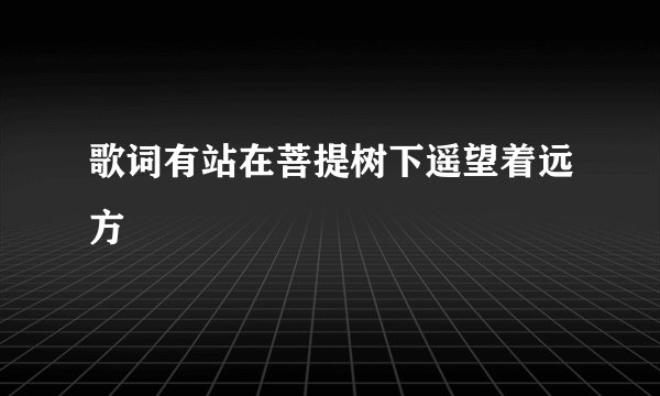 歌词有站在菩提树下遥望着远方