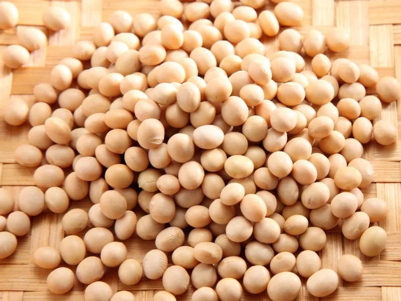 豆制品的营养价值