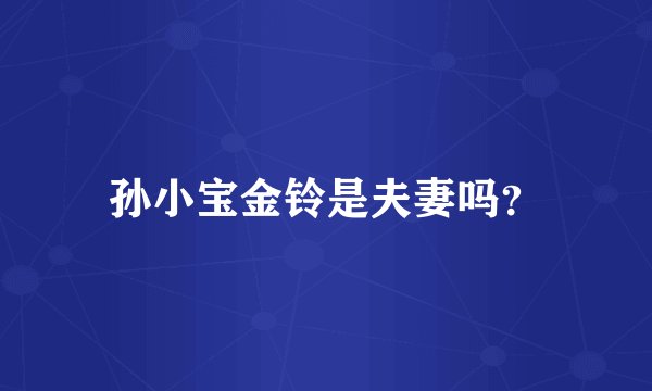孙小宝金铃是夫妻吗？