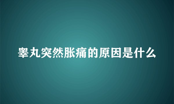 睾丸突然胀痛的原因是什么