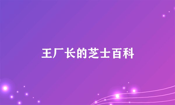 王厂长的芝士百科