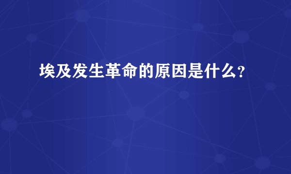 埃及发生革命的原因是什么？