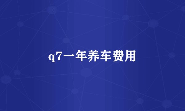 q7一年养车费用