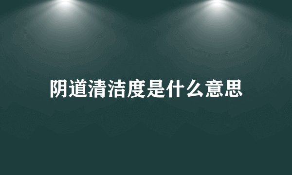 阴道清洁度是什么意思