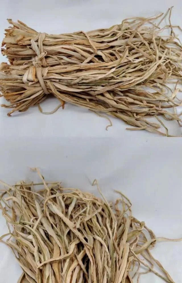 创业做什么好?
