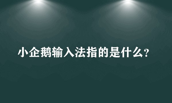 小企鹅输入法指的是什么？