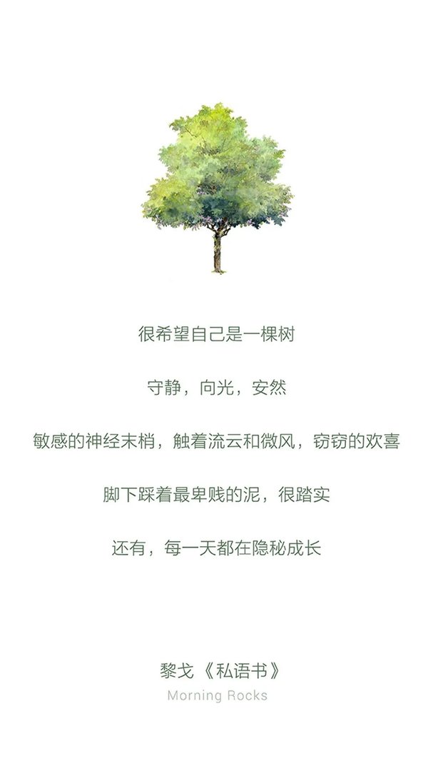 心似繁华艳照，身如古树不惊