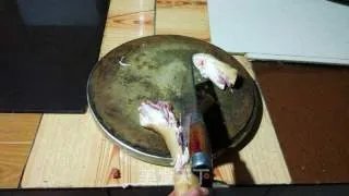猪脚解剖法