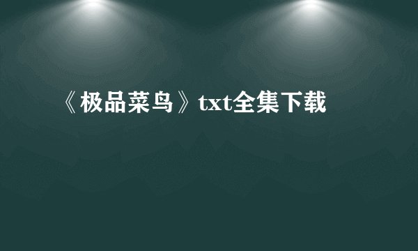 《极品菜鸟》txt全集下载
