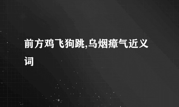 前方鸡飞狗跳,乌烟瘴气近义词