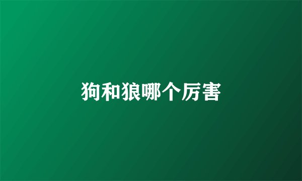 狗和狼哪个厉害