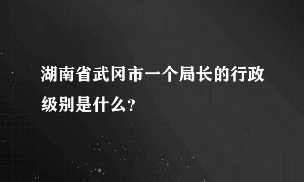 湖南省武冈市一个局长的行政级别是什么？
