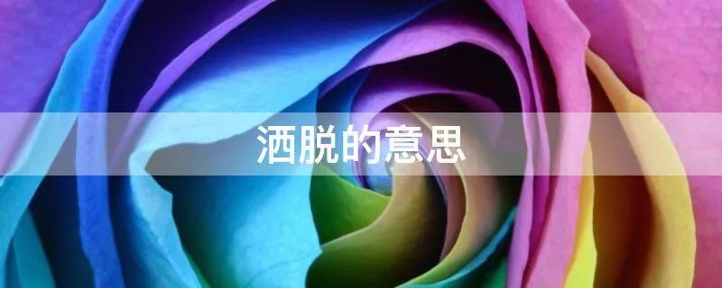 洒脱的意思