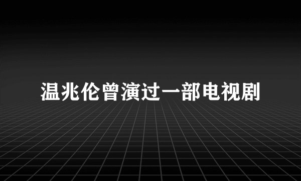 温兆伦曾演过一部电视剧
