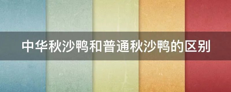 中华秋沙鸭和普通秋沙鸭的区别