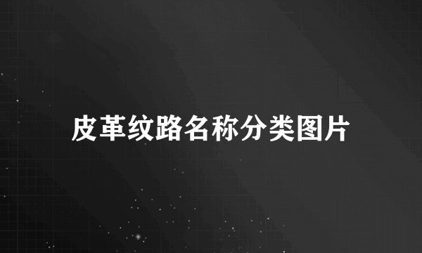 皮革纹路名称分类图片