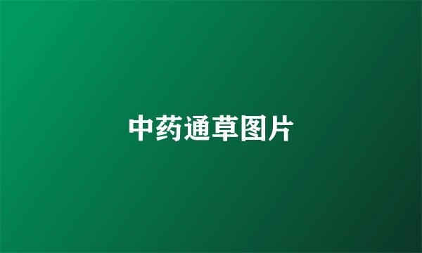 中药通草图片