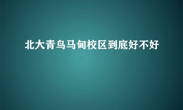 北大青鸟马甸校区到底好不好