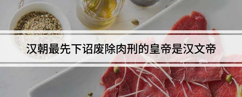 汉朝最先下诏废除肉刑的皇帝是汉文帝