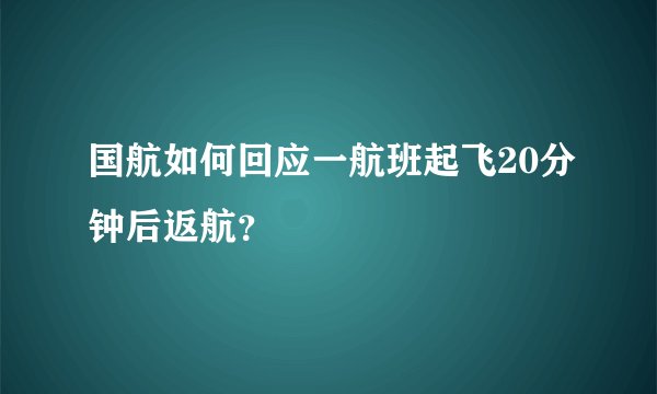 国航如何回应一航班起飞20分钟后返航？