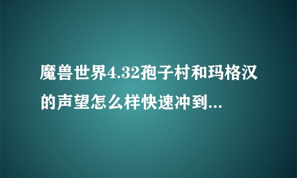 魔兽世界4.32孢子村和玛格汉的声望怎么样快速冲到崇拜？讲详细点！