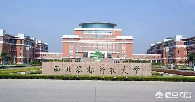 有哪些985、211大学的分数比较低?