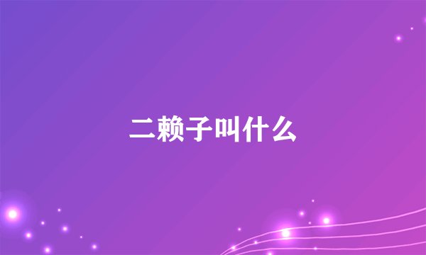 二赖子叫什么